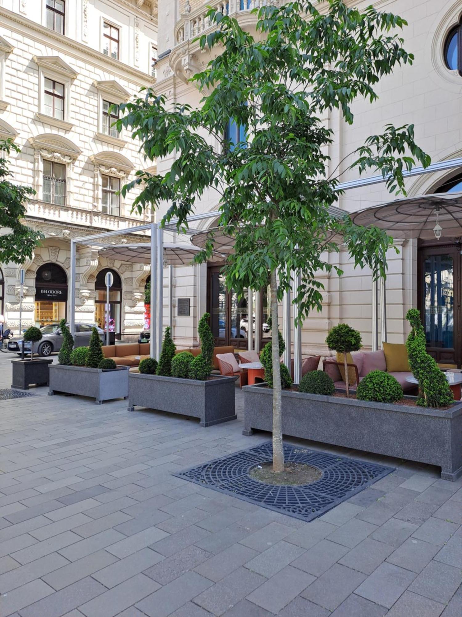 Cute Downtown Apartment 布达佩斯 外观 照片